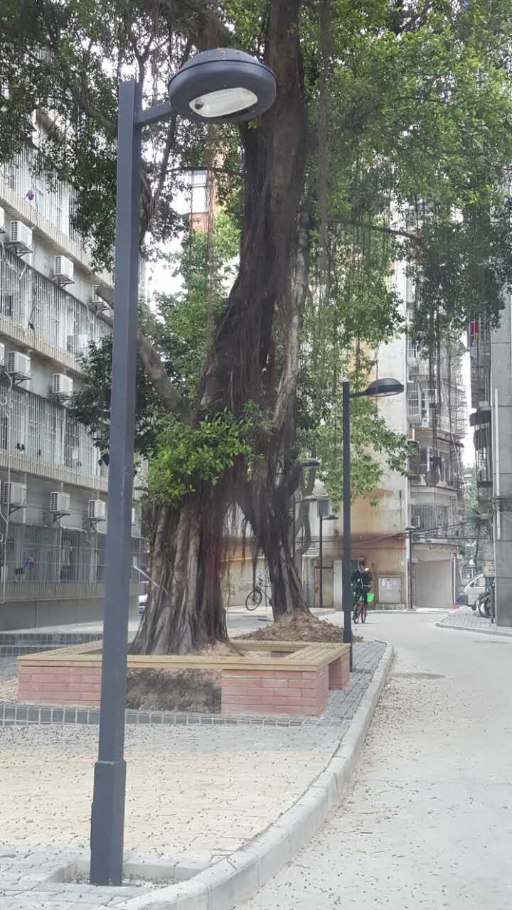 珠海莲花山小区庭院灯细节图