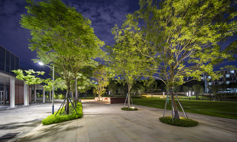 深圳南方科技大学夜景庭院灯